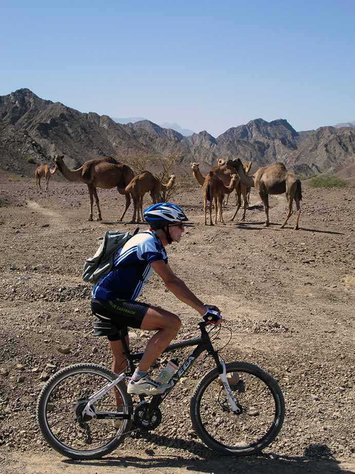 Mountain biker on a rocky track, with camels on the ridge behind