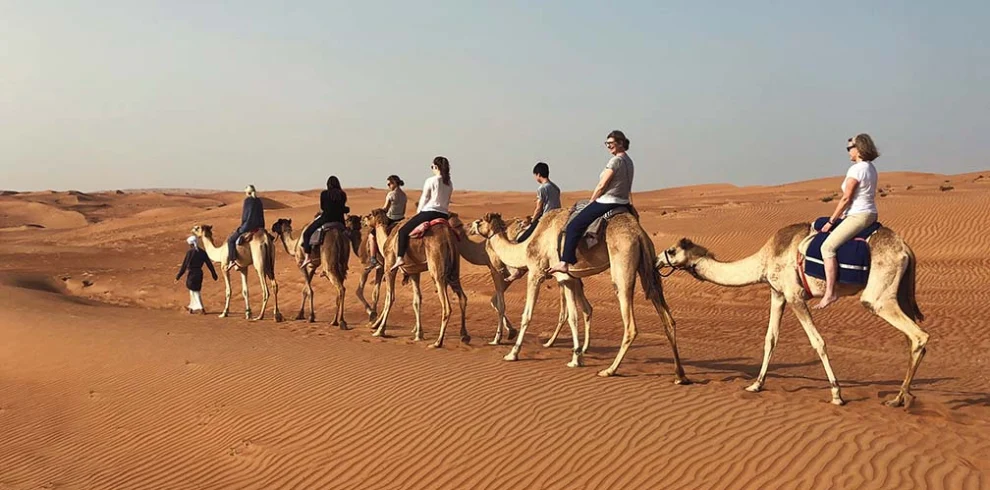 Riders on camels crossing the dunes of the Wahiba Sands