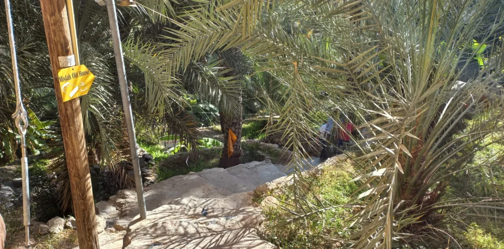 A shaded path beside palms in Misfat Al Abriyeen