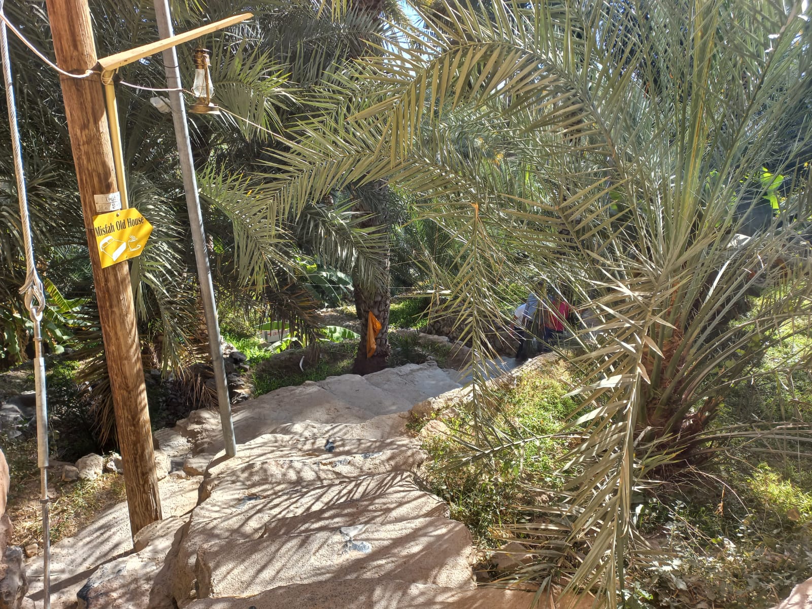 A shaded path beside palms in Misfat Al Abriyeen