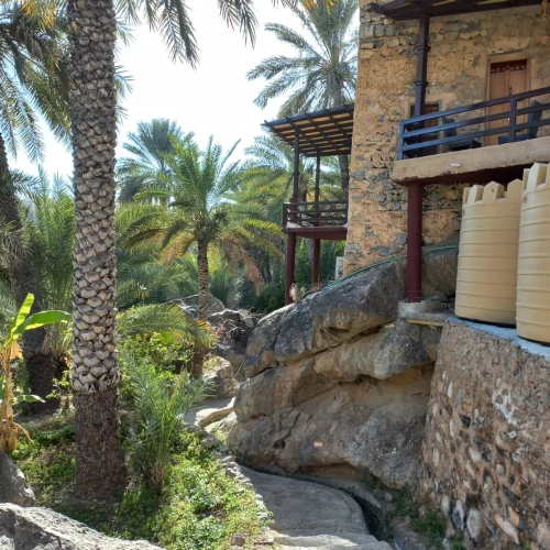 A stone house and palms in Misfat Al Abriyeen
