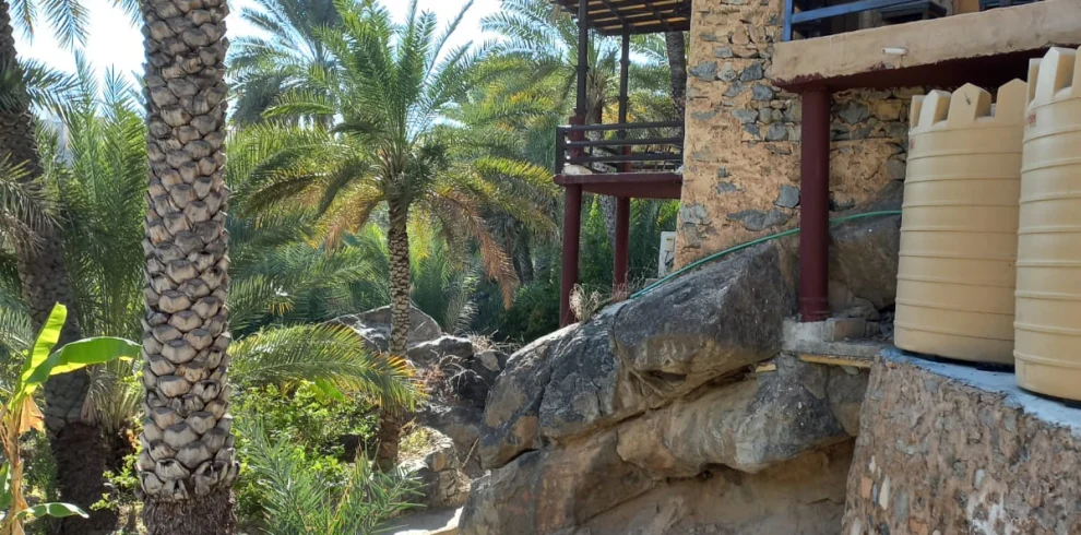 A stone house and palms in Misfat Al Abriyeen