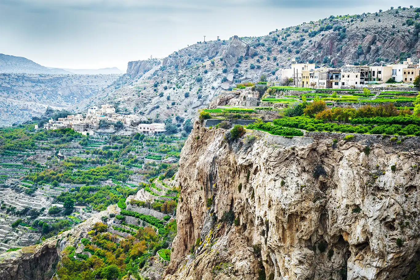 Green terraces and orchards at the edge of a cliff on Jabal Akhdar