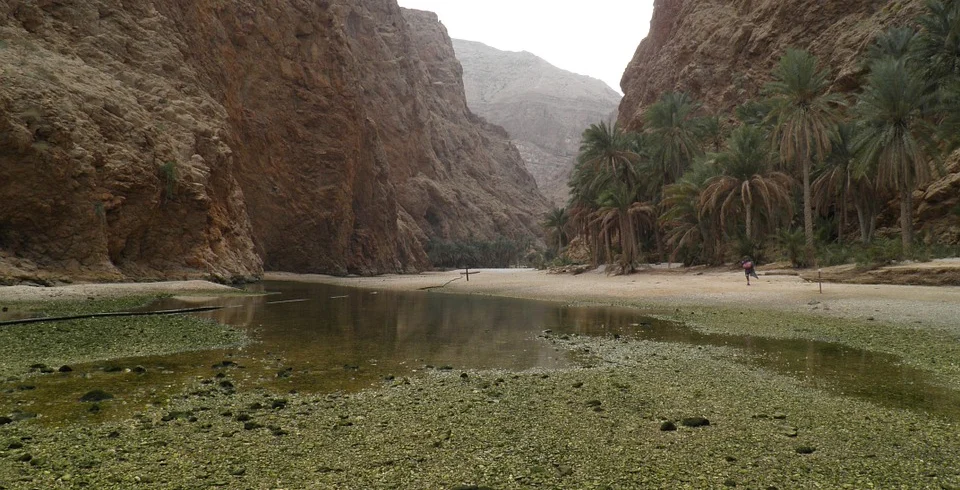 Green pools between high cliffs in a wadi