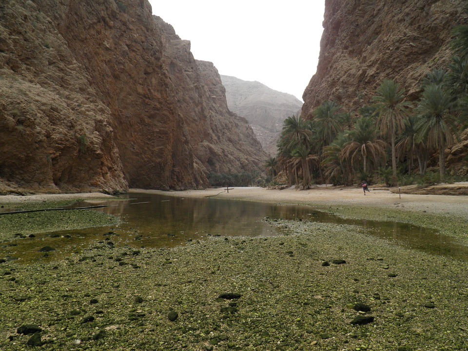 Green pools between high cliffs in a wadi
